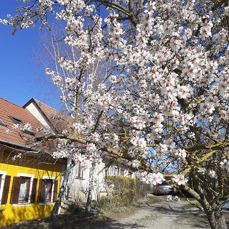 Eva Vendeghaz Villa Tata Bagian luar foto
