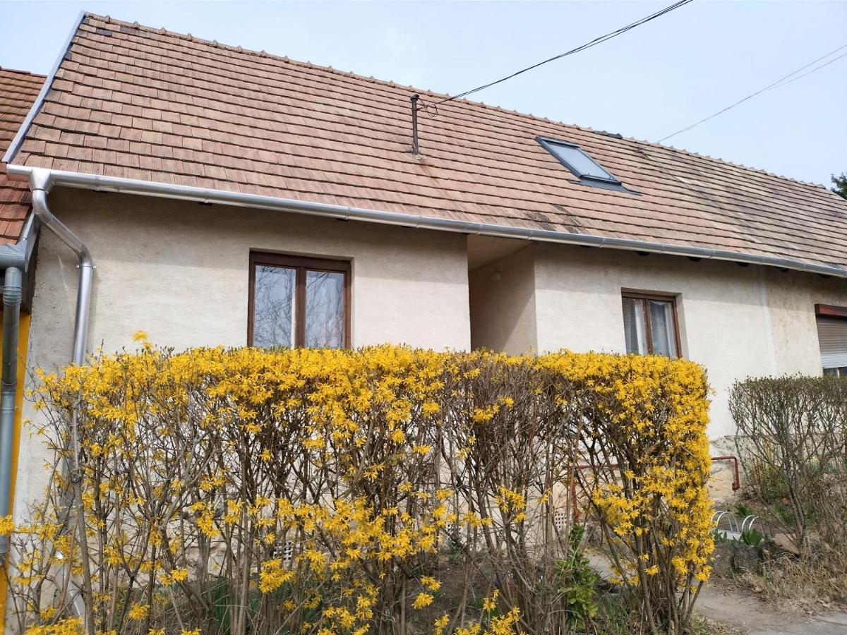 Eva Vendeghaz Villa Tata Bagian luar foto