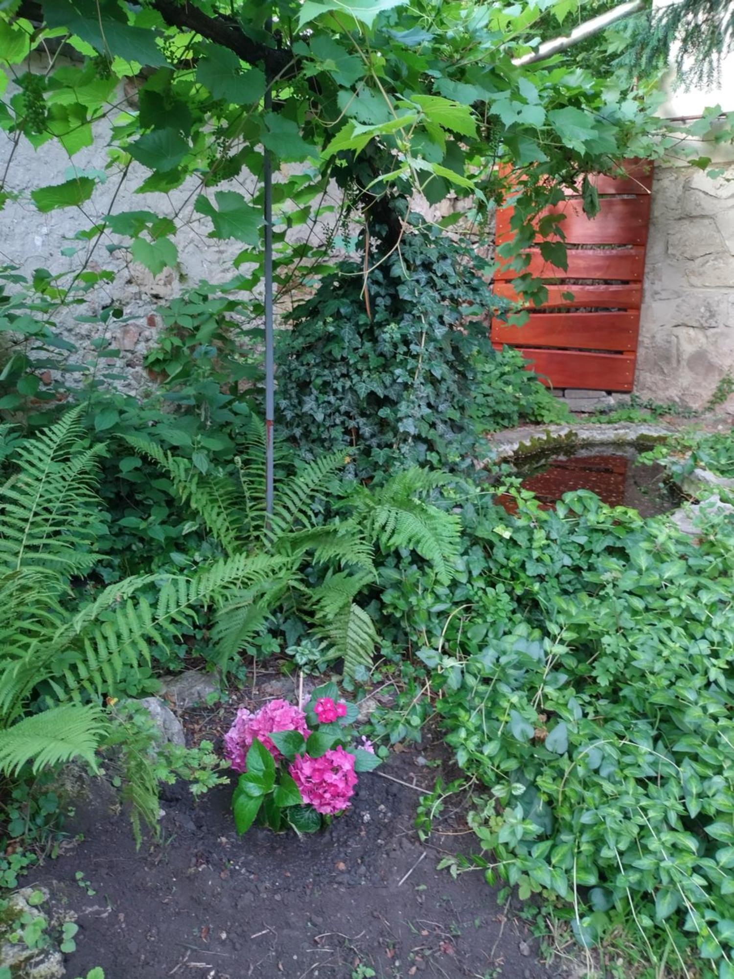 Eva Vendeghaz Villa Tata Bagian luar foto