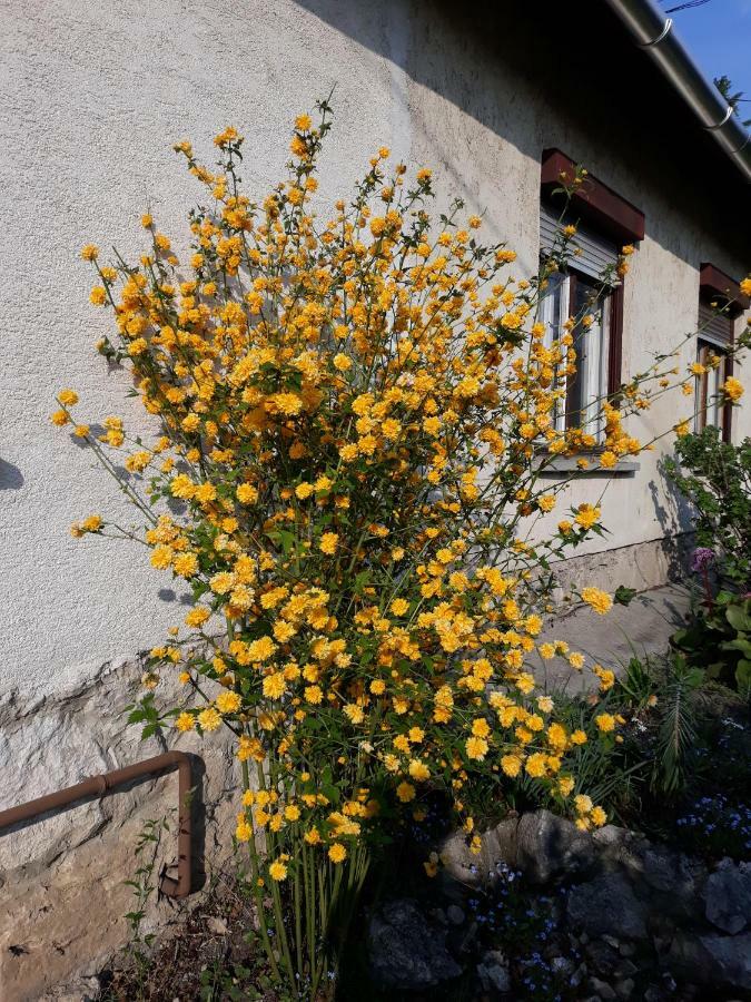 Eva Vendeghaz Villa Tata Bagian luar foto