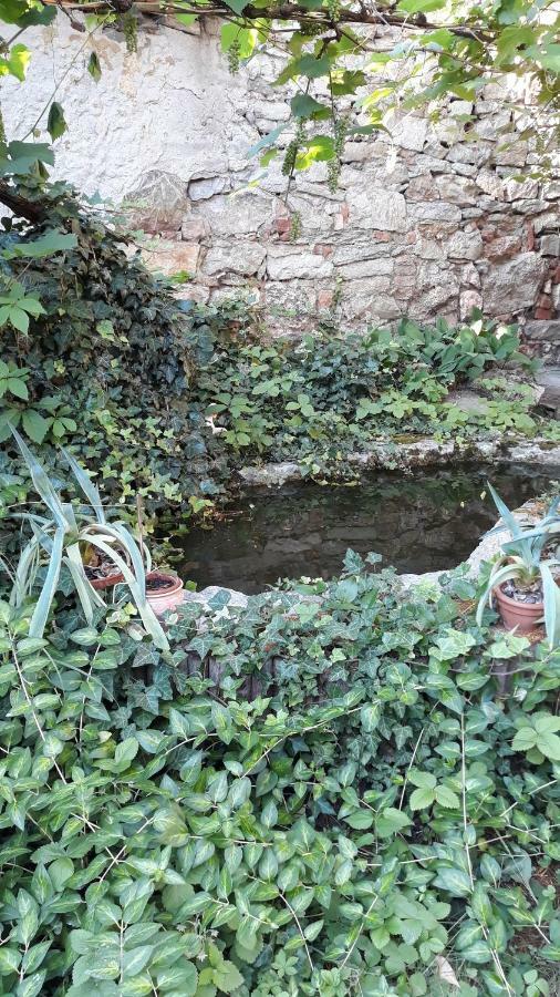 Eva Vendeghaz Villa Tata Bagian luar foto